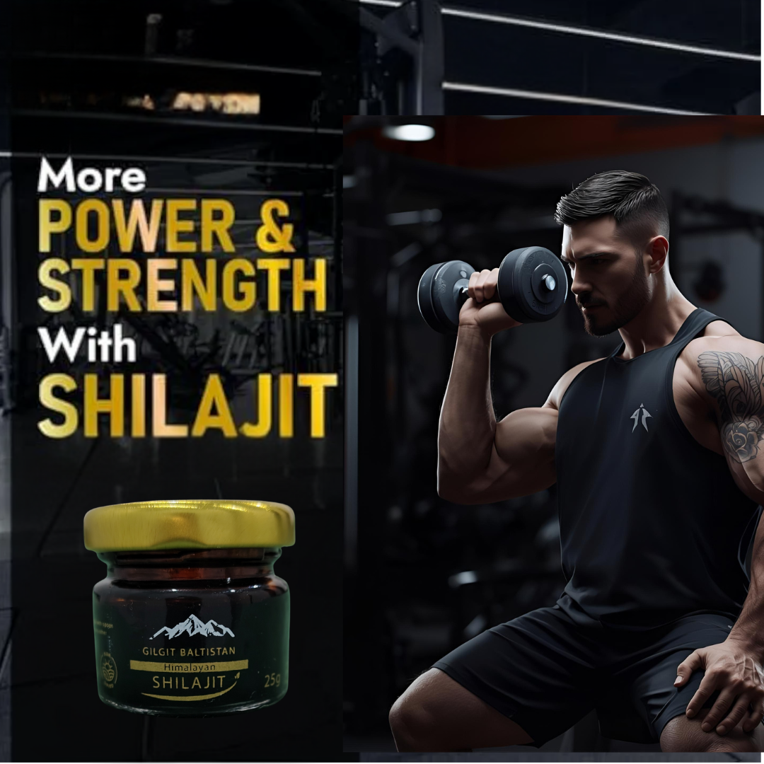 AlizOrganic Gilgit Baltistan Himalayan Shilajit Resin 25g