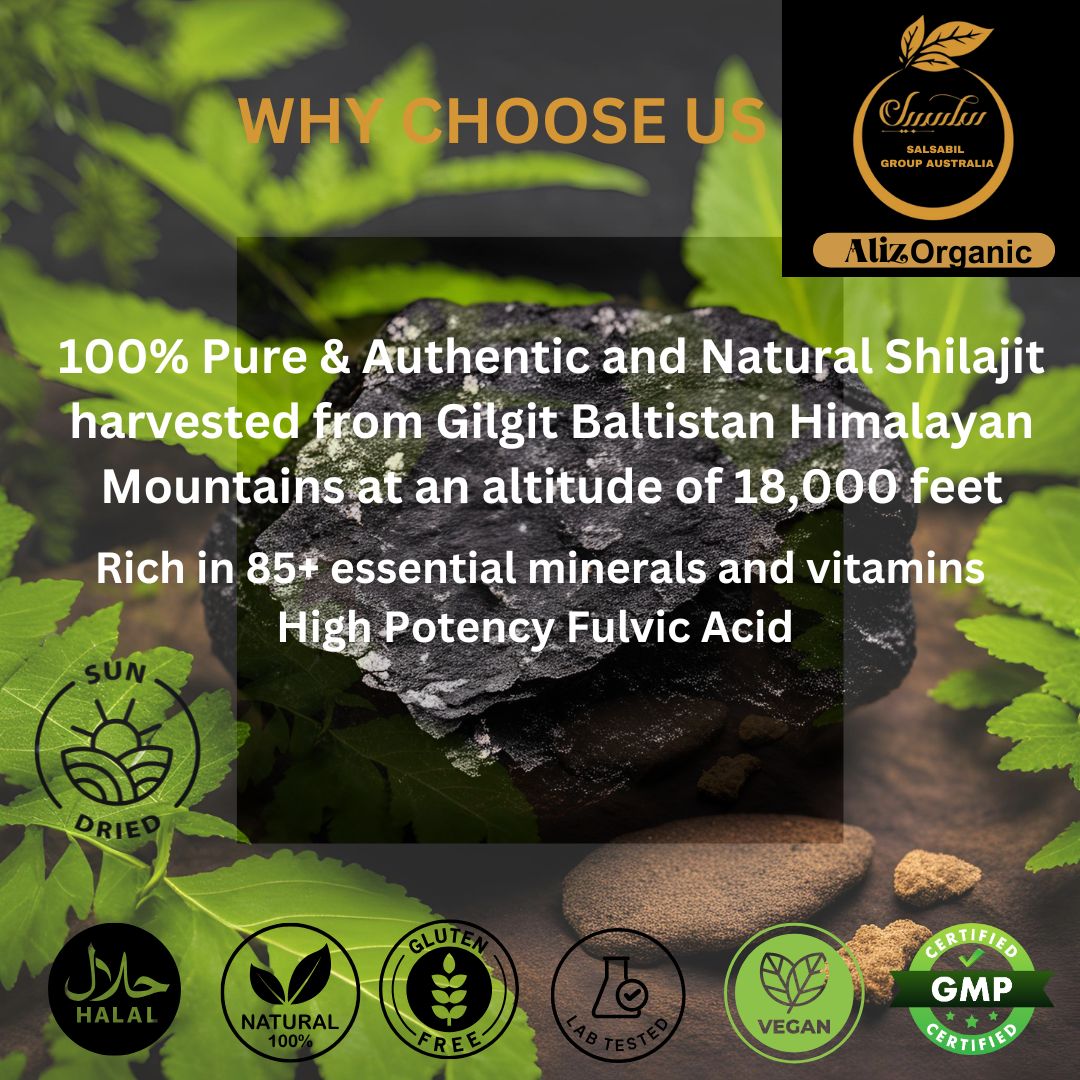 AlizOrganic Gilgit Baltistan Himalayan Shilajit Resin 25g
