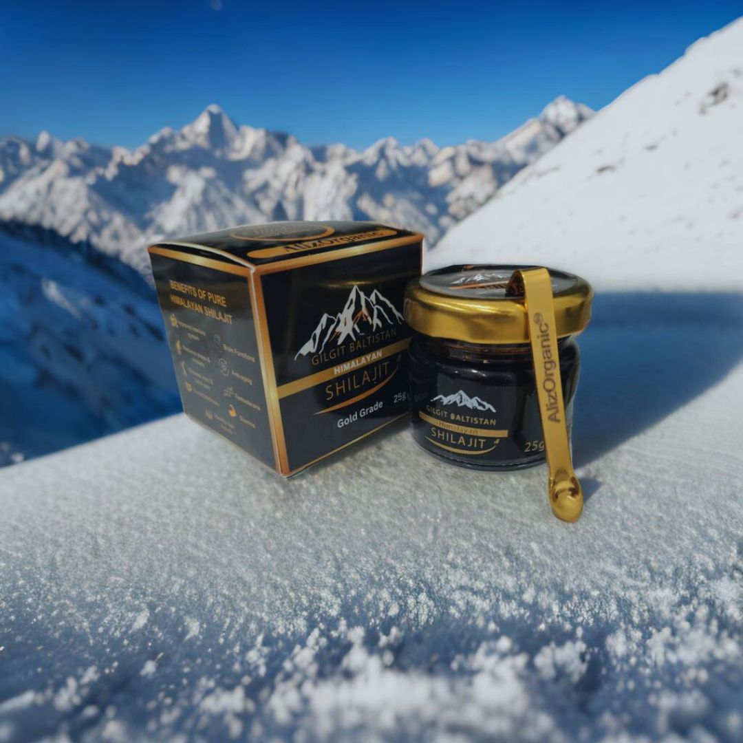 AlizOrganic Gilgit Baltistan Himalayan Shilajit Resin 25g